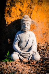 Buddha-9897